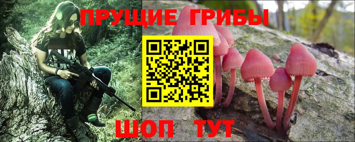 Псилоцибиновые грибы Magic Shrooms  Псилоцибиновые грибы Psilocybe  наркотики  Вход с VPN  Светлоград 
